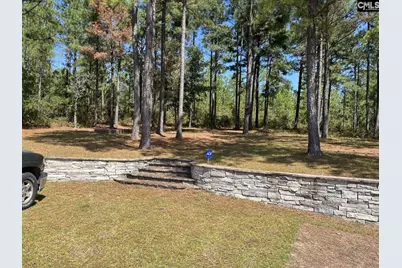 137 Farm Chase Drive, Lexington, SC 29073 - Photo 3