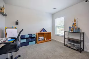 206 Bevington Brk Ln, Hopkins, SC 29061 - Photo 25