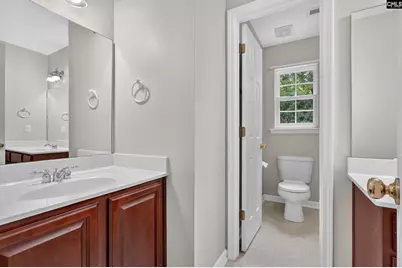 246 Bowmore Drive W, Blythewood, SC 29016 - Photo 39