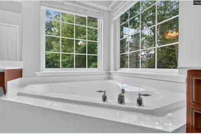 246 Bowmore Drive W, Blythewood, SC 29016 - Photo 33