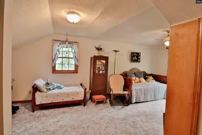 111 Old Cedar, Chapin, SC 29036 - Photo 21