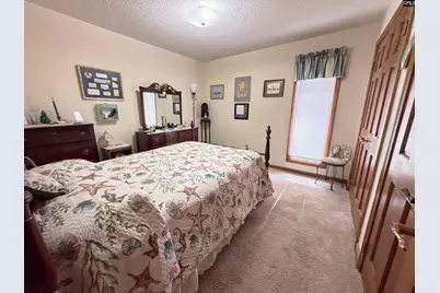 111 Old Cedar, Chapin, SC 29036 - Photo 19