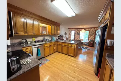 111 Old Cedar, Chapin, SC 29036 - Photo 13