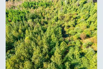 1603 Greenway Drive #Lot 9, Lugoff, SC 29078 - Photo 11