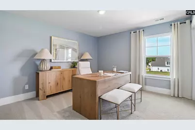 209 Sunny Stream Drive, Chapin, SC 29036 - Photo 19