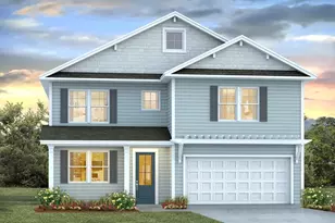 209 Sunny Stream Dr, Chapin, SC 29036 - Photo 1