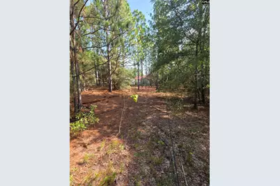 1020 Grandview Lane, West Columbia, SC 29172 - Photo 13