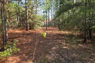1020 Grandview Ln, West Columbia, SC 29172 - Photo 13