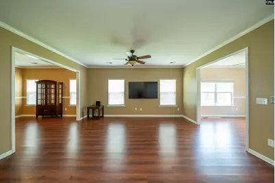 457 Crawley Lane, Chapin, SC 29036 - Photo 11