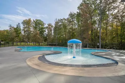 457 Crawley Lane, Chapin, SC 29036 - Photo 63