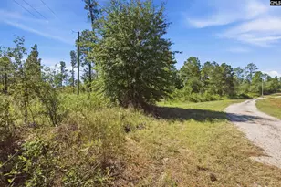 0 Martin Smith Rd, Gilbert, SC 29054 - Photo 1
