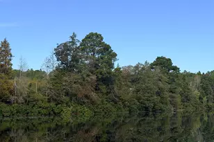 140 Living Waters Blvd, Lexington, SC 29073 - Photo 77