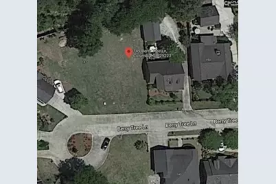 149 Berry Tree Lane, Columbia, SC 29223 - Photo 7