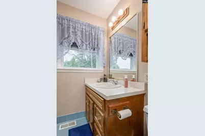 220 Saint Mark Drive, West Columbia, SC 29169 - Photo 19