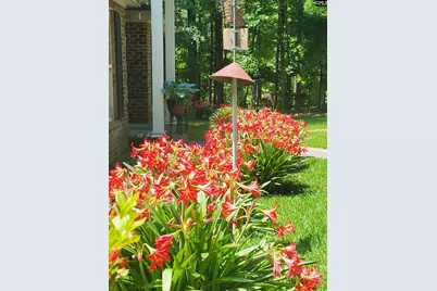 138 Erica Court, Lexington, SC 29072 - Photo 67