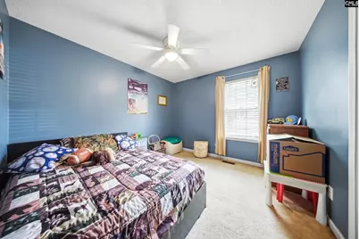 337 Firebridge Drive, Chapin, SC 29036 - Photo 13