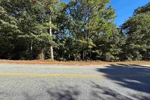 Tbd Ruth Vista Rd, Lexington, SC 29073 - Photo 1