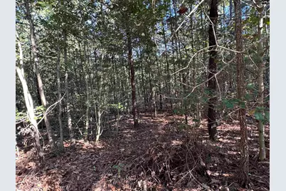 Tbd Ruth Vista Rd, Lexington, SC 29073 - Photo 5