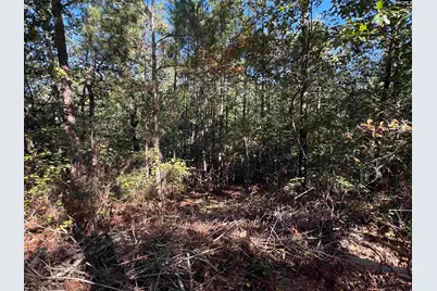 Tbd Ruth Vista Rd, Lexington, SC 29073 - Photo 7