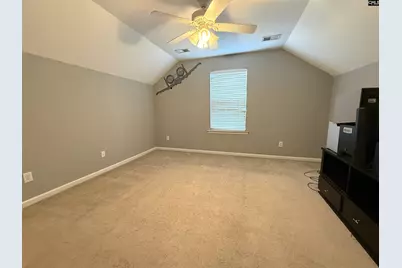 125 Millstone Lane, Lexington, SC 29072 - Photo 29