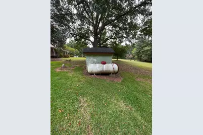 238 Joe Free Road, Chapin, SC 29036 - Photo 23