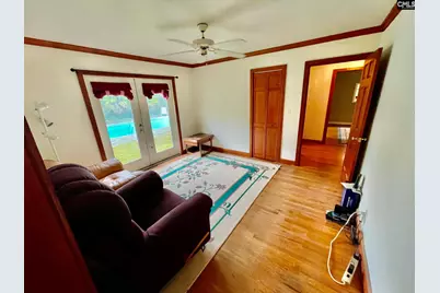 238 Joe Free Road, Chapin, SC 29036 - Photo 5