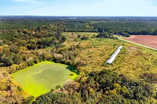 2323 Belfast Rd, Newberry, SC 29108 - Photo 33