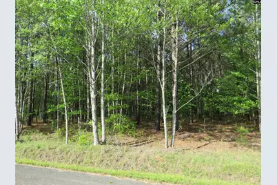 S/S Old Eastover Road #3, Eastover, SC 29044 - Photo 3