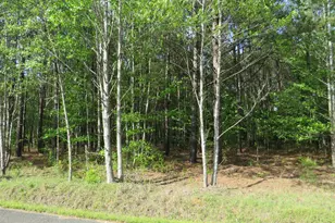 S/S Old Eastover Rd, Eastover, SC 29044 - Photo 1
