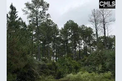 0 Broad Street, Leesville, SC 29070 - Photo 15