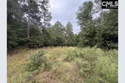 0 Broad Street, Leesville, SC 29070 - Photo 19
