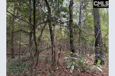 0 Broad Street, Leesville, SC 29070 - Photo 7