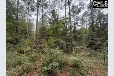 0 Broad Street, Leesville, SC 29070 - Photo 9