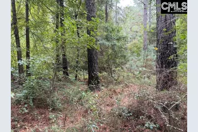 0 Broad Street, Leesville, SC 29070 - Photo 11
