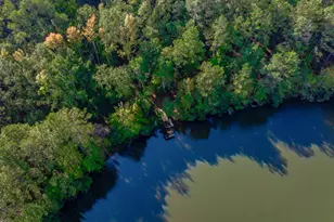 3480 Ben Sanders Rd, Dalzell, SC 29040 - Photo 63