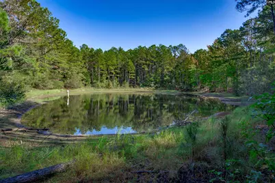 3480 Ben Sanders Road, Dalzell, SC 29040 - Photo 53