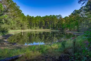 3480 Ben Sanders Rd, Dalzell, SC 29040 - Photo 53