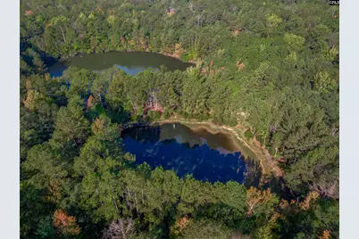 3480 Ben Sanders Road, Dalzell, SC 29040 - Photo 61