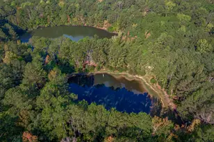 3480 Ben Sanders Rd, Dalzell, SC 29040 - Photo 61