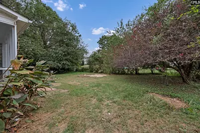875 Bentley Drive, Lexington, SC 29072 - Photo 31