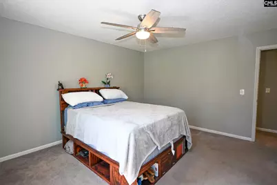 412 Kenton Drive, Irmo, SC 29063 - Photo 19