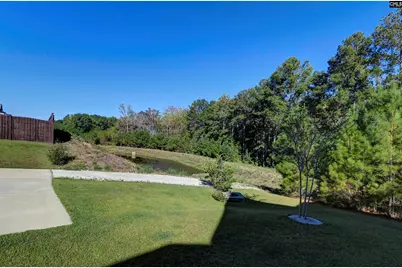 238 Wading Bird Loop, Blythewood, SC 29016 - Photo 59