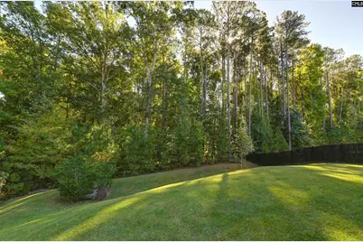 238 Wading Bird Loop, Blythewood, SC 29016 - Photo 53