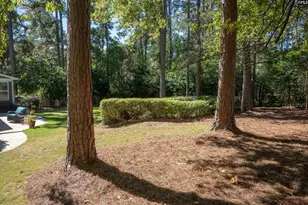 417 Valley Springs Rd, Columbia, SC 29223 - Photo 73