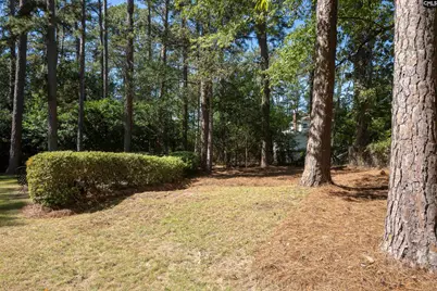 417 Valley Springs Road, Columbia, SC 29223 - Photo 75