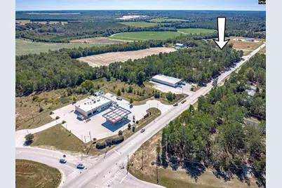 0 Edmund Highway, Pelion, SC 29123 - Photo 5