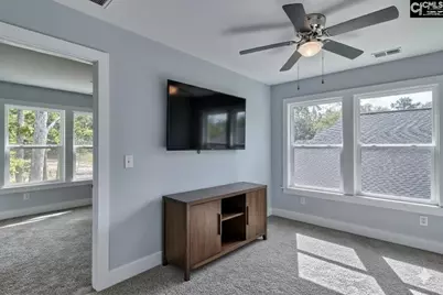 209 Lynch Lane, Chapin, SC 29036 - Photo 13