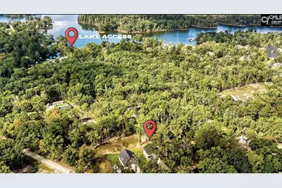 209 Lynch Lane, Chapin, SC 29036 - Photo 3