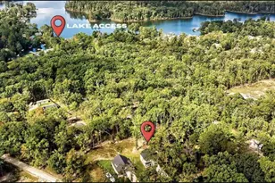209 Lynch Ln, Chapin, SC 29036 - Photo 3