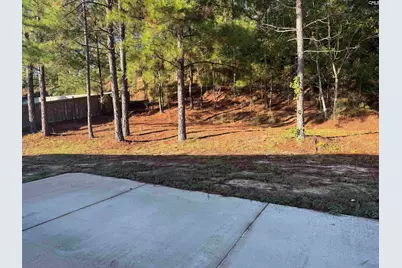 676 Old Orangeburg Road, Lexington, SC 29073 - Photo 3